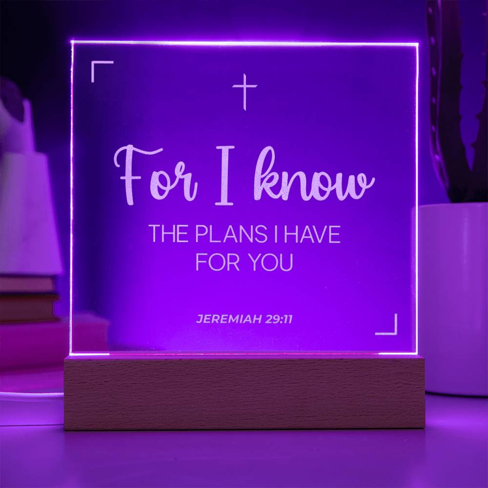 The Plans I Have for You | Engraved Acrylic Plaque Led Light