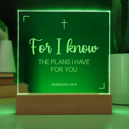 The Plans I Have for You | Engraved Acrylic Plaque Led Light